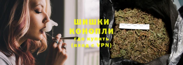 тгк Горнозаводск