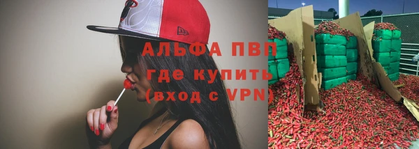 ПСИЛОЦИБИНОВЫЕ ГРИБЫ Горняк