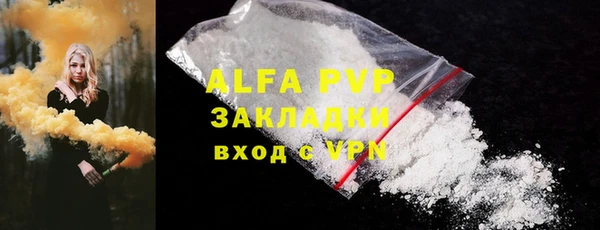 ПСИЛОЦИБИНОВЫЕ ГРИБЫ Горняк