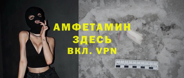 ПСИЛОЦИБИНОВЫЕ ГРИБЫ Горняк