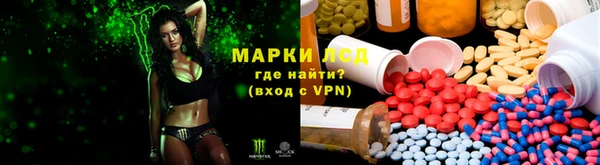 ПСИЛОЦИБИНОВЫЕ ГРИБЫ Горняк