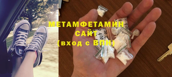 ПСИЛОЦИБИНОВЫЕ ГРИБЫ Горняк
