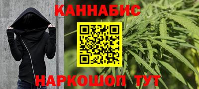 сатива Коммунар