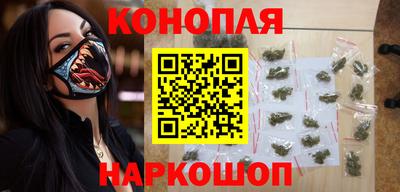 сатива Коммунар