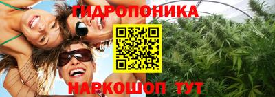 сатива Коммунар