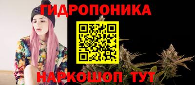 сатива Коммунар